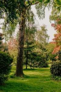 Hotham Park, Bognor Regis by Peter Flude