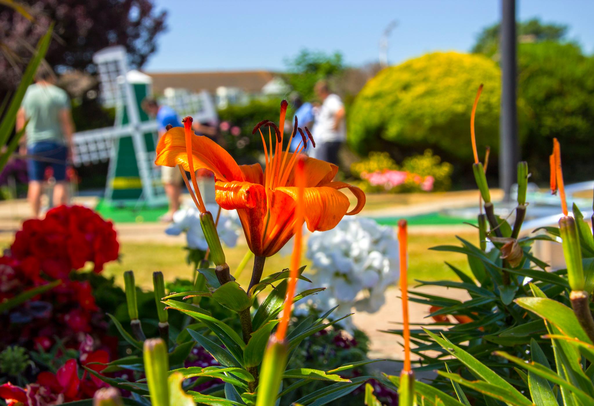 Bognor Regis Mini Golf See & do Love Bognor