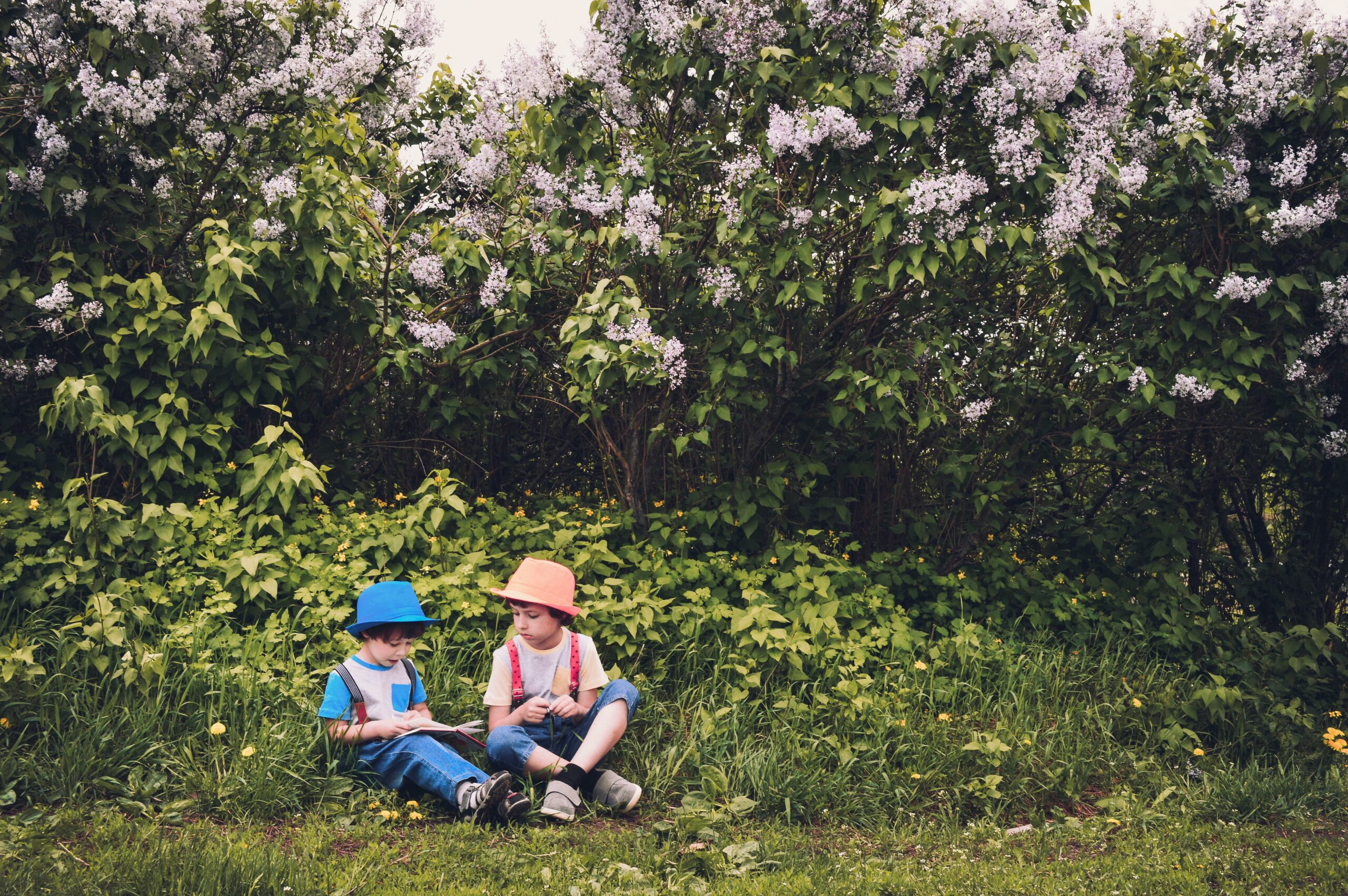 Low-Cost Family Activities in Bognor Regis This Summer