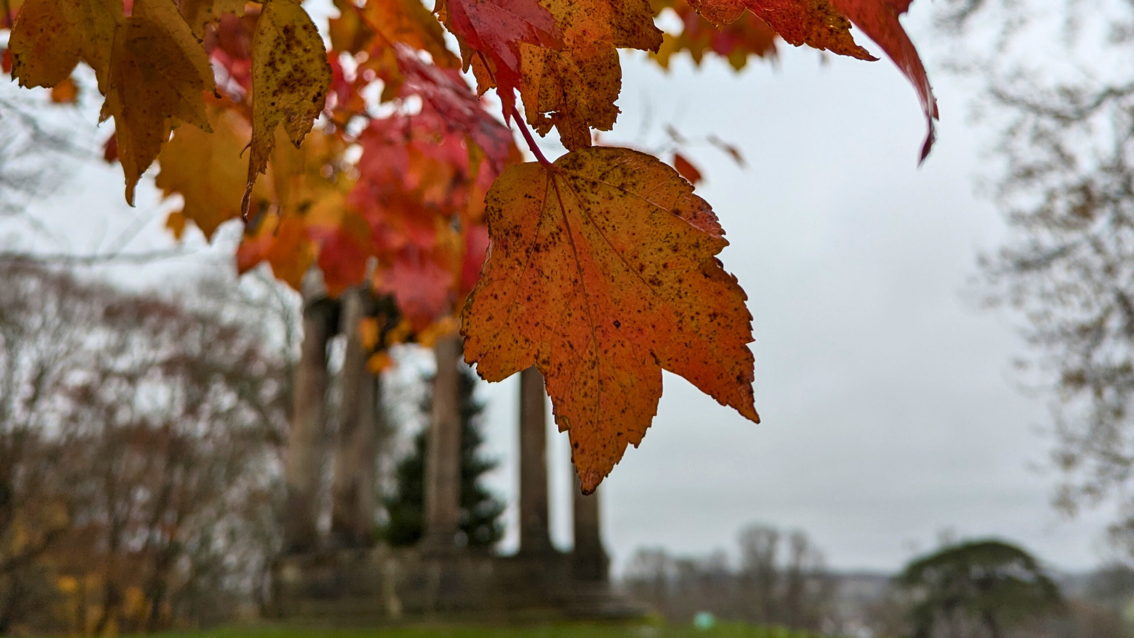 Autumn Days Out in and Around Bognor Regis
