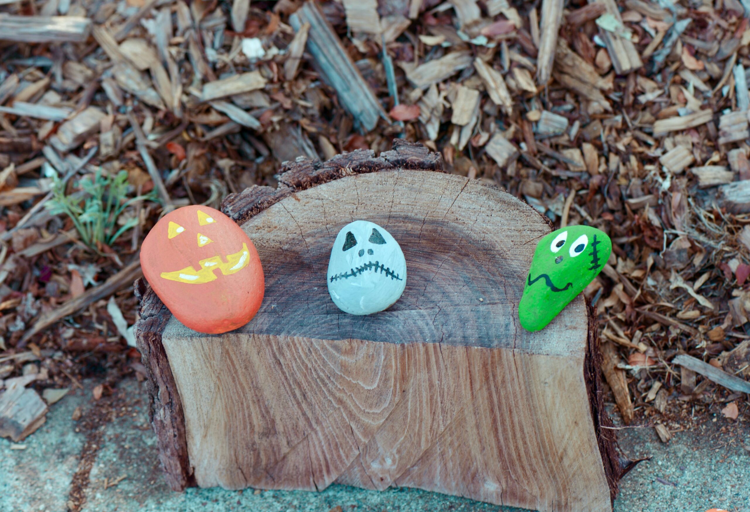 Halloween Activities for Children in and around Bognor Regis