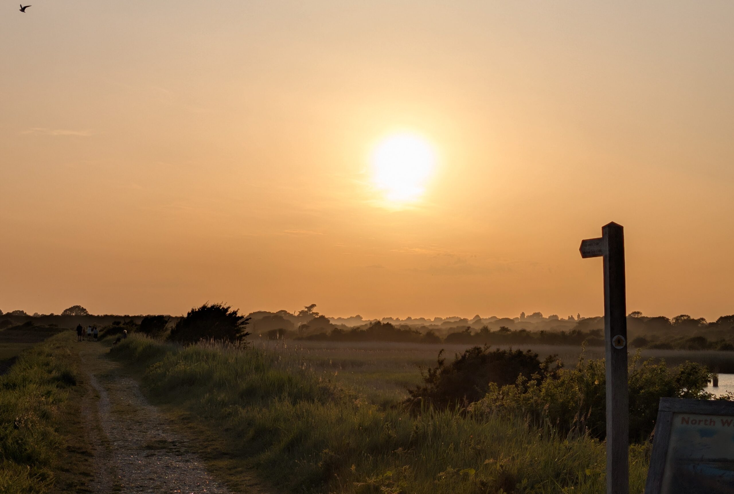 Summer Solstice in Bognor Regis: Where to enjoy the longest day of the year