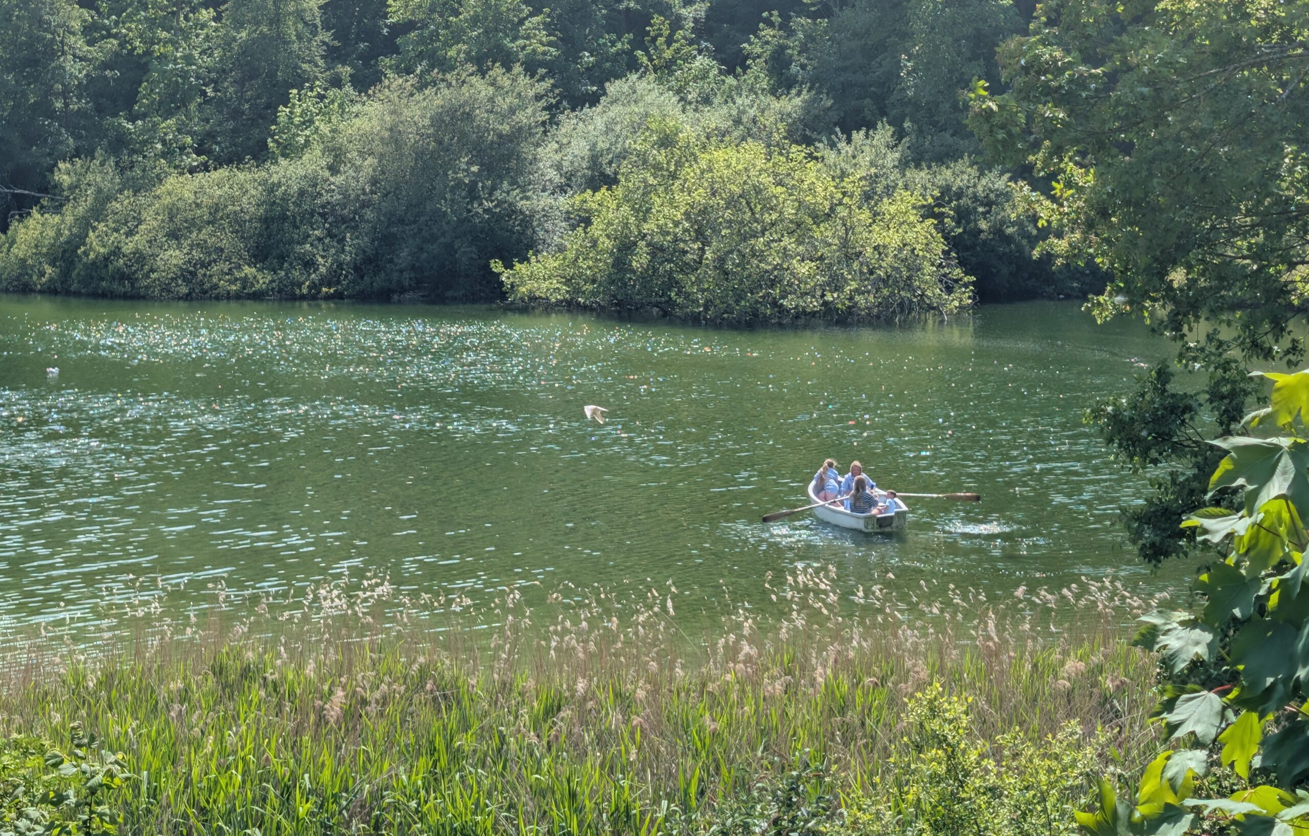 Lighter Evenings, Beautiful Walks: Explore In and Around Bognor Regis