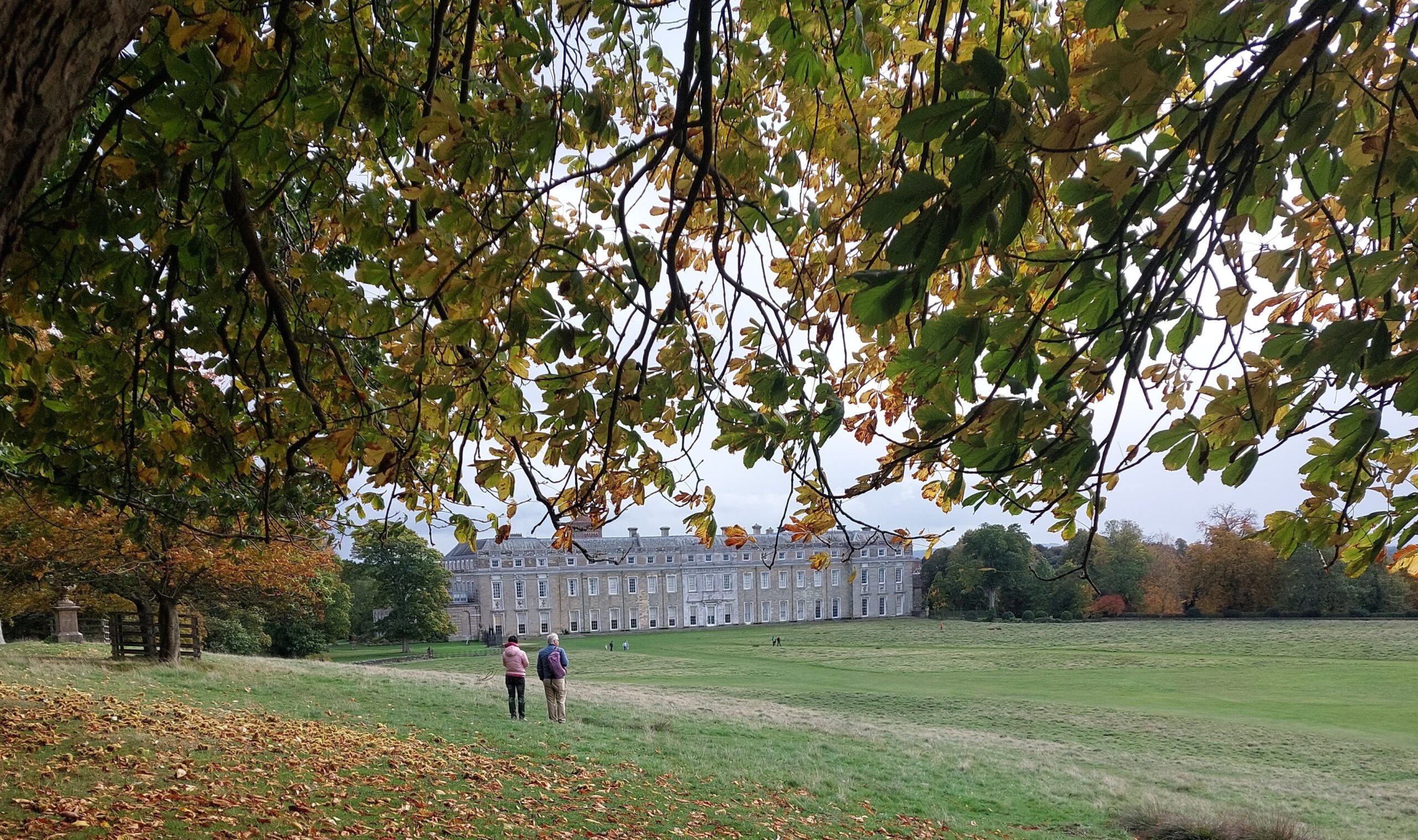 Autumn Walks in and Around Bognor Regis